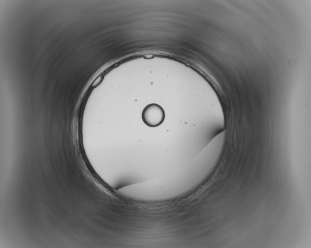 X0000115071092200911241117