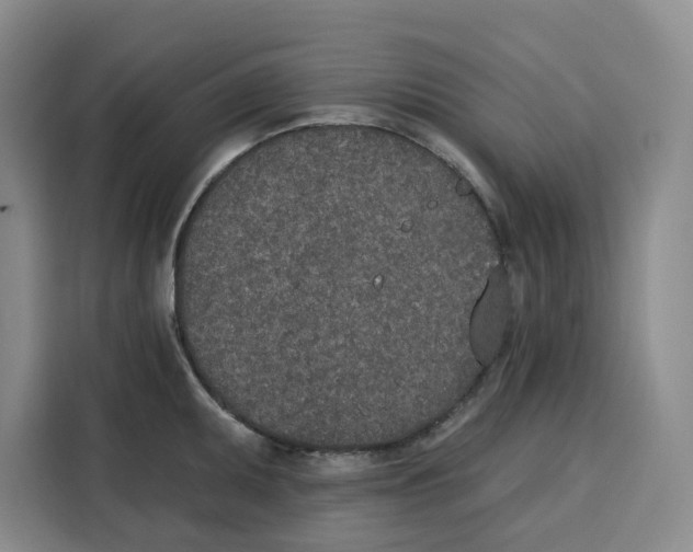 X0000115071095200911241117