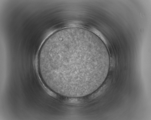 X0000115071098200911241117