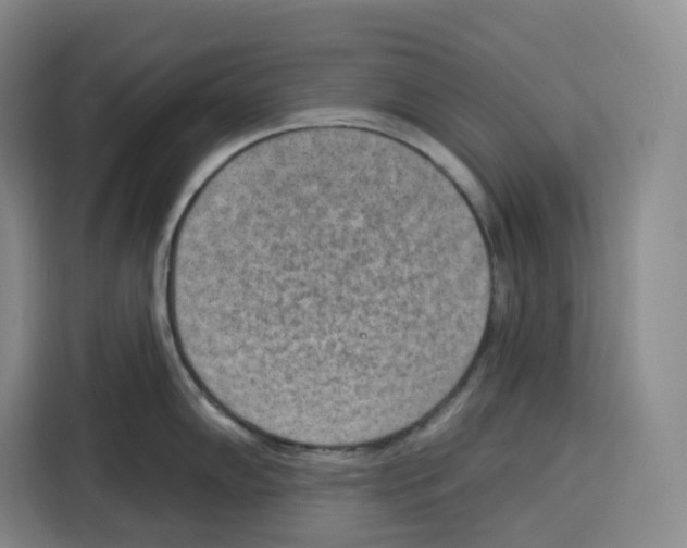 X0000115071102200911241117