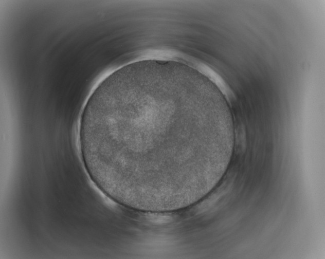 X0000115071103200911241117