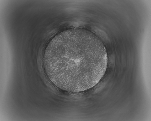 X0000115071105200911241116