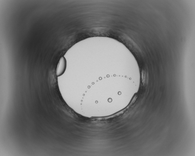 X0000115071107200911241116