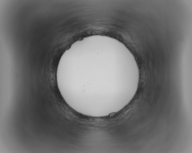 X0000115071109200911241116