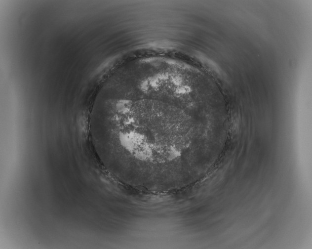 X0000115071110200911241116