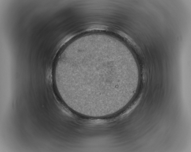 X0000115071113200911241116