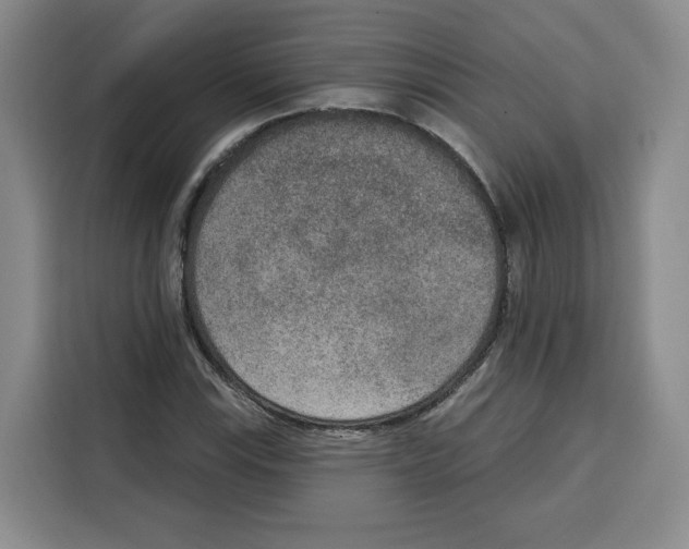 X0000115071115200911241116