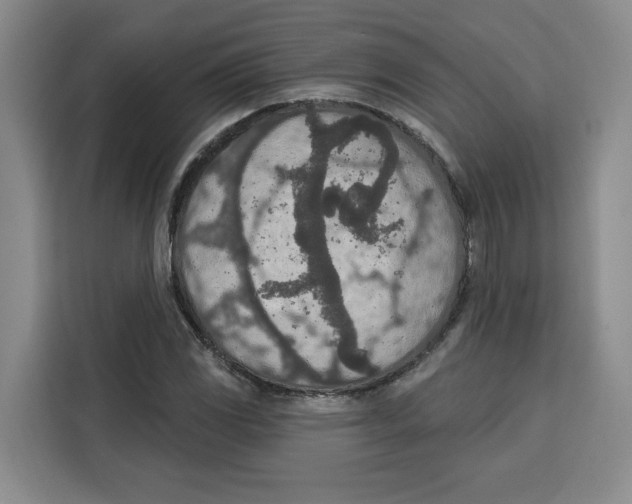 X0000115071117200911241116