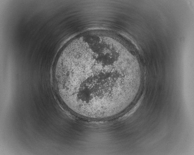 X0000115071121200911241117