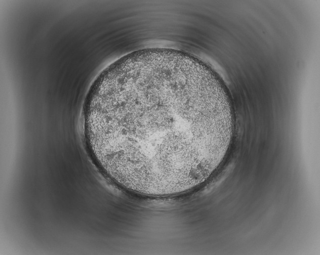 X0000115071125200911241117