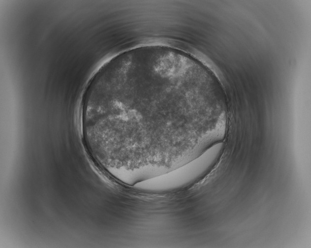 X0000115071127200911241117