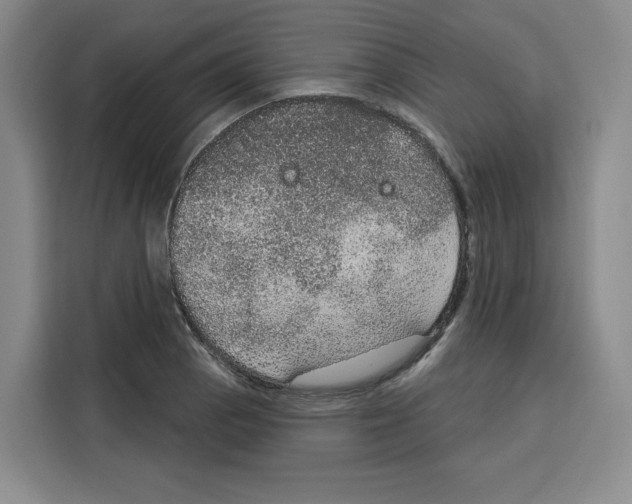 X0000115071129200911241117
