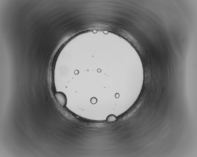 X0000115071130200911241117