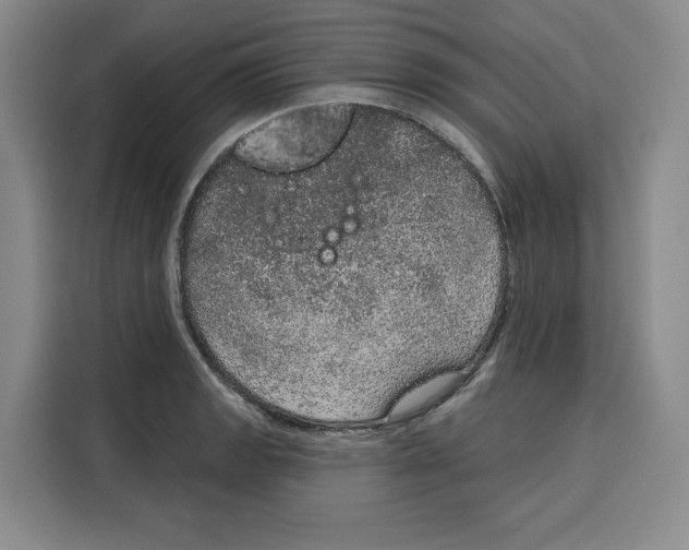 X0000115071133200911241117