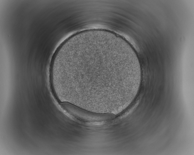 X0000115071134200911241117