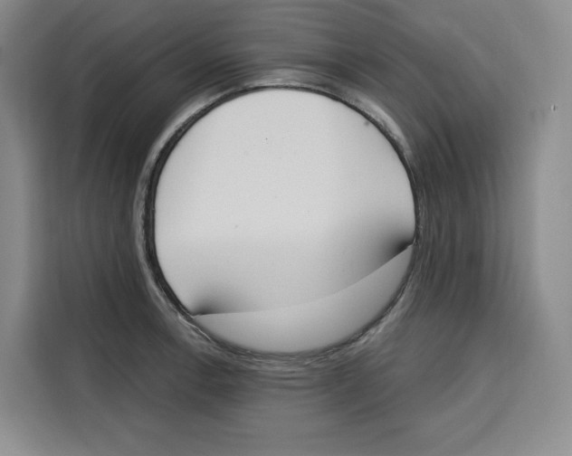 X0000115071138200911241117