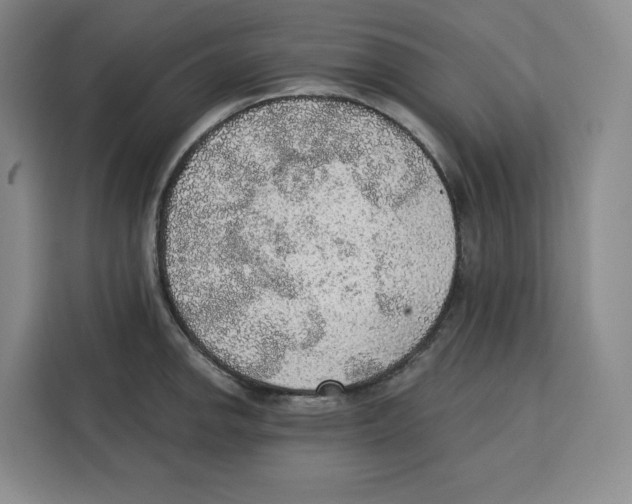 X0000115071142200911241117