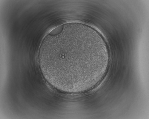 X0000115071145200911241117