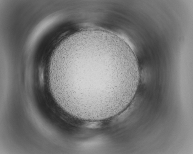 X0000115071150200911241117
