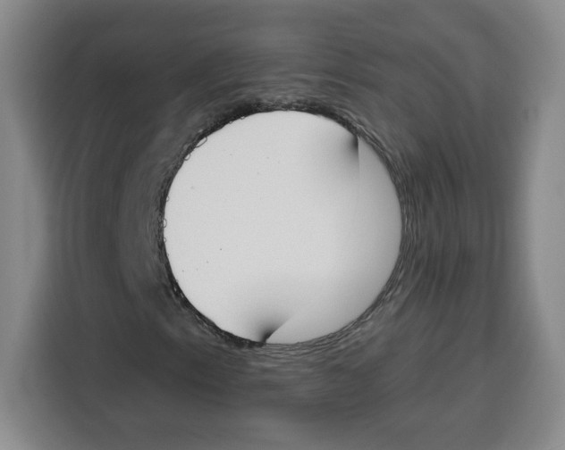 X0000115071153200911241116