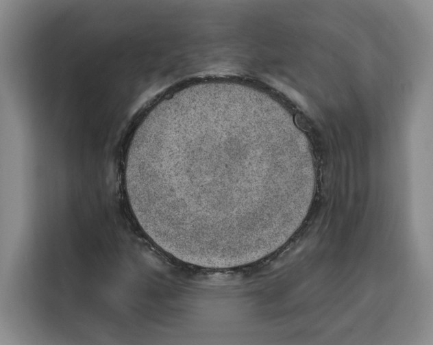 X0000115071160200911241116