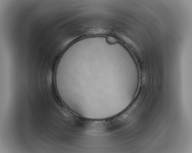 X0000115071161200911241116