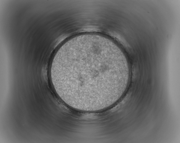 X0000115071162200911241116