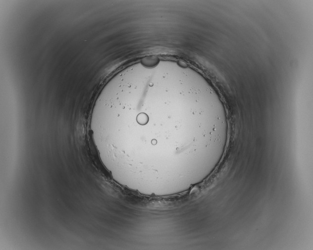 X0000115071169200911241116