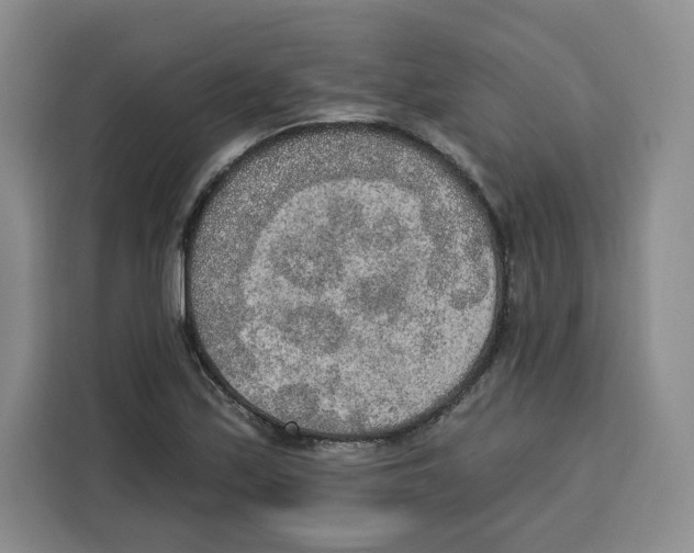 X0000115071171200911241116