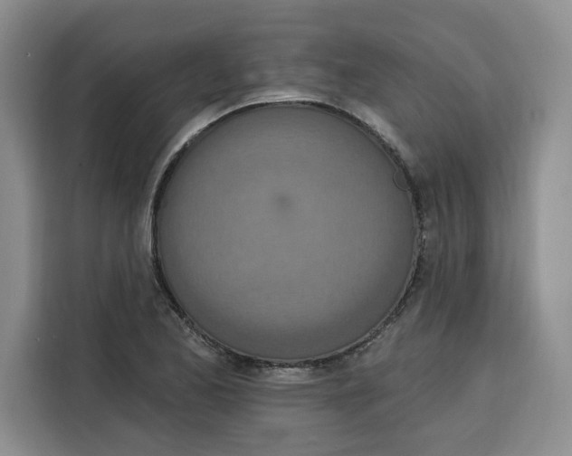 X0000115071173200911241116