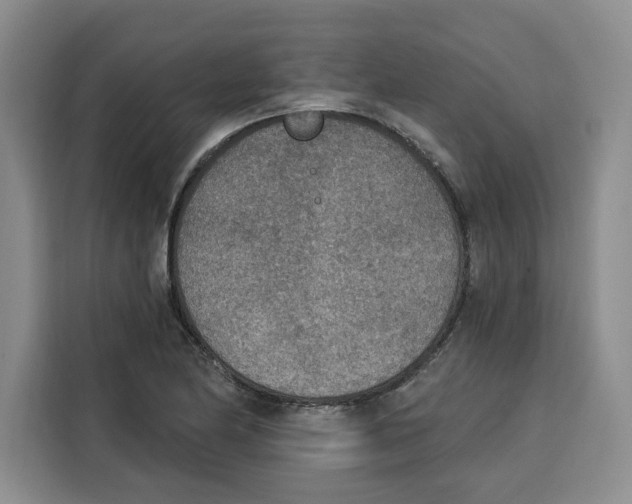 X0000115071174200911241116