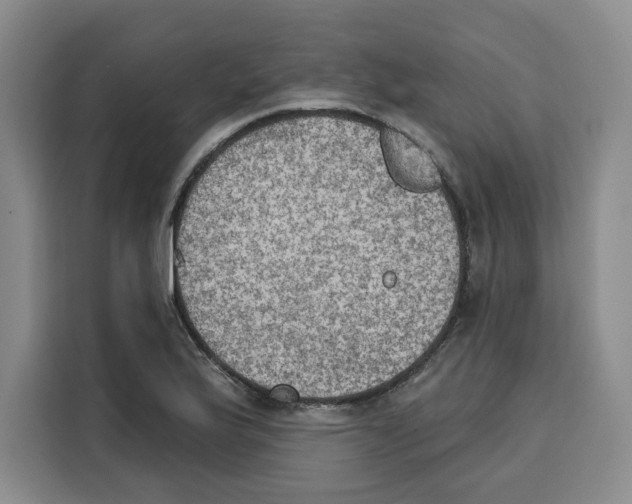 X0000115071175200911241116