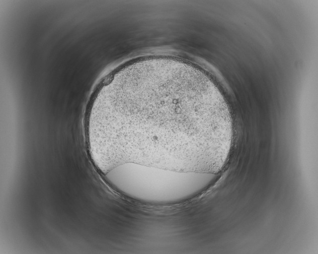 X0000115071176200911241116