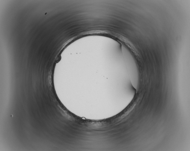 X0000115071177200911241116