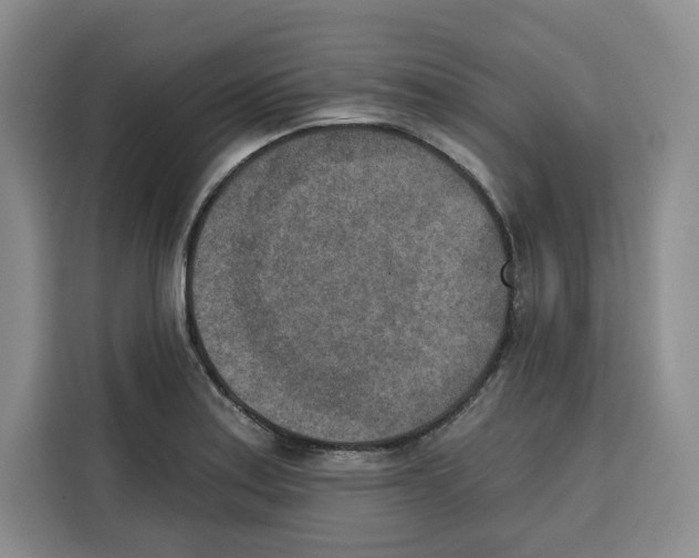 X0000115071179200911241116