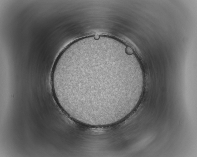 X0000115071182200911241116