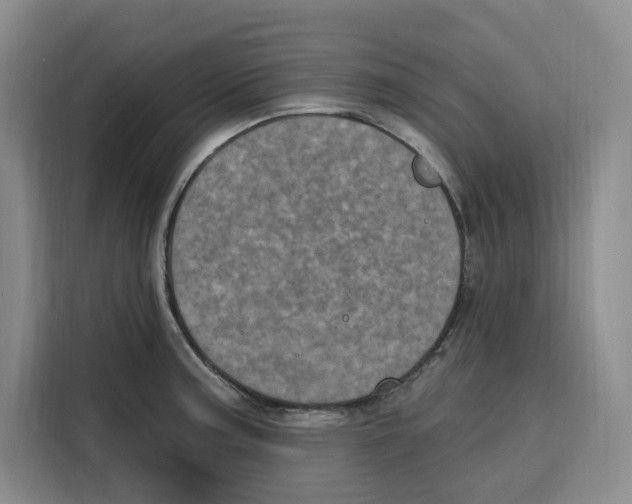 X0000115071187200911241116