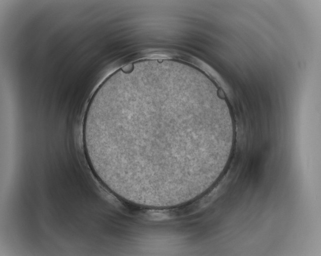 X0000115071194200911241116