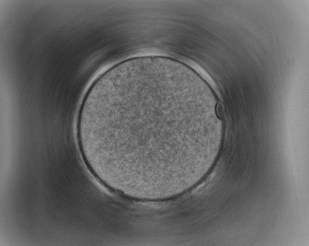 X0000115071197200911241116