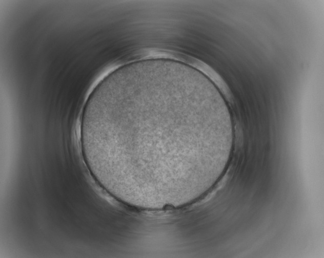 X0000115071198200911241116