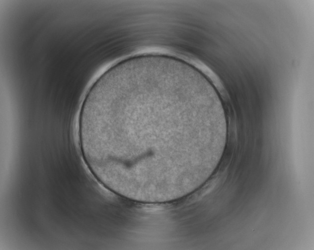 X0000115071199200911241116