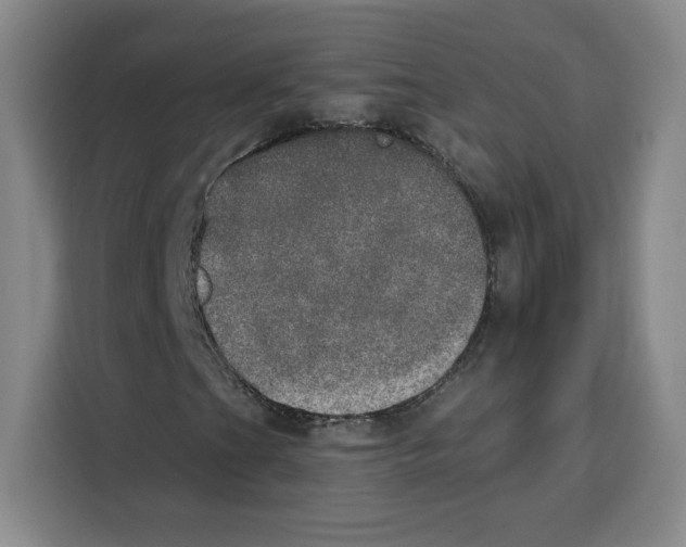 X0000115071201200911241115