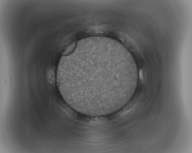 X0000115071203200911241115