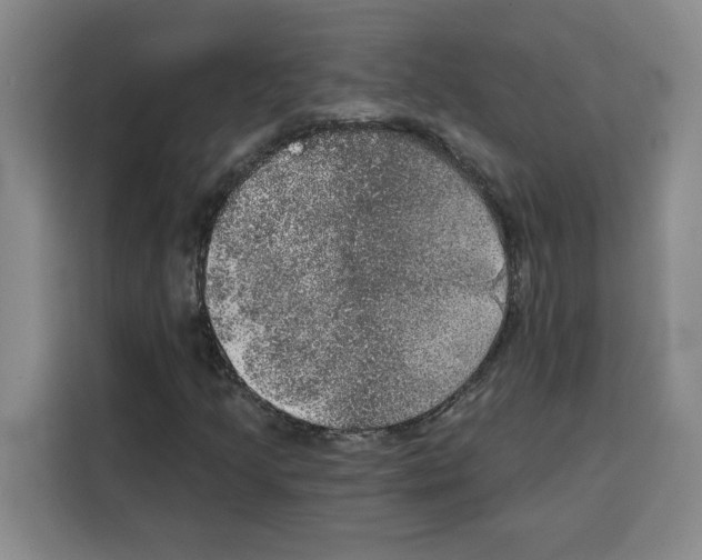 X0000115071205200911241115