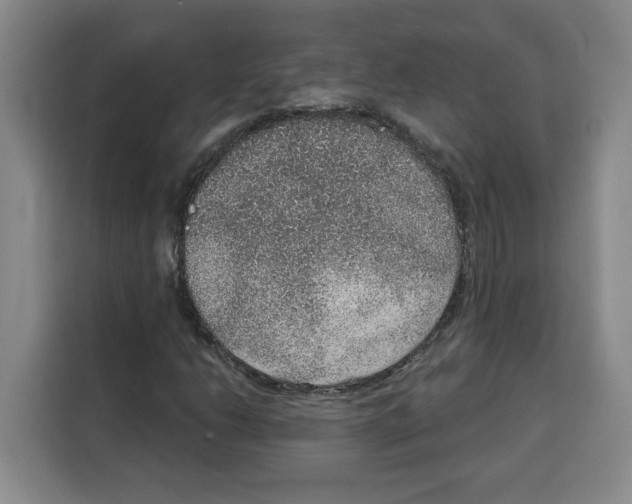 X0000115071206200911241115