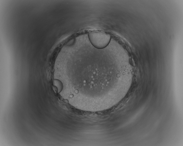 X0000115071207200911241115