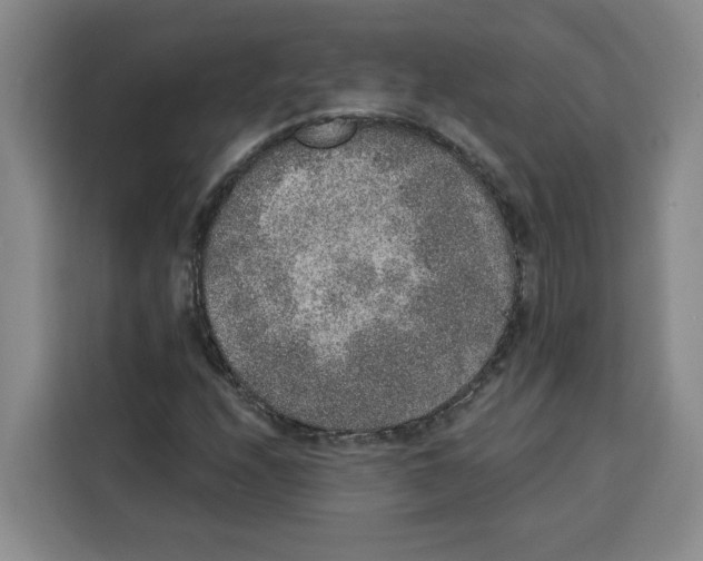 X0000115071208200911241115