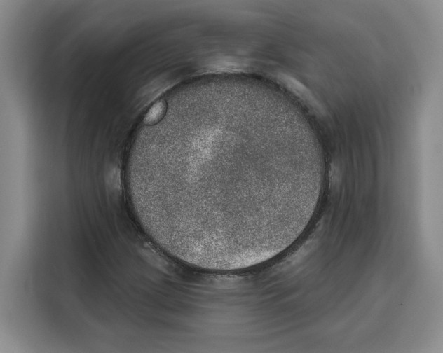 X0000115071209200911241115