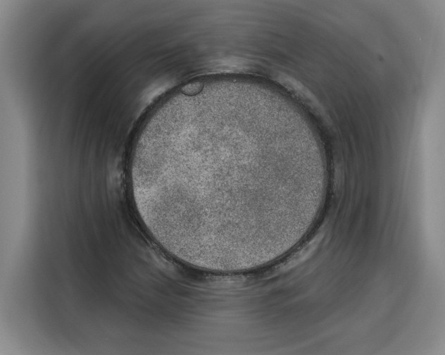 X0000115071210200911241115