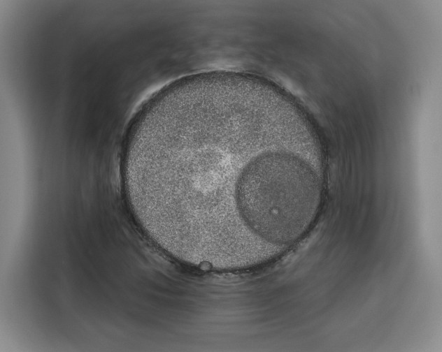 X0000115071214200911241115